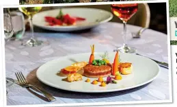  ?? ?? VINE DINING:
A tasty dish, left, on Scenic Diamond. Above: A Bordeaux vineyard