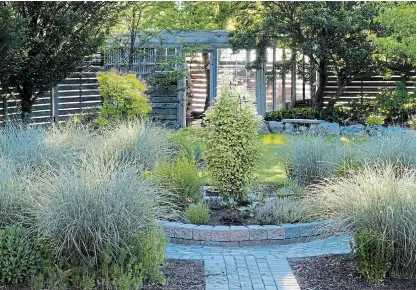  ?? THERESA FORTE, FOR TORSTAR ?? Morning sun gently kisses the tops of our circle of Miscanthus ‘Morning Light’ this silver grass has blue green blades edged with white that catch the light and enliven the garden.