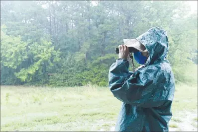  ?? NWA Democrat-Gazette/Flip Putthoff ?? Joan Reynolds looks for birds Aug. 6 during a steady rain.
