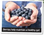  ??  ?? Berries help maintain a healthy gut