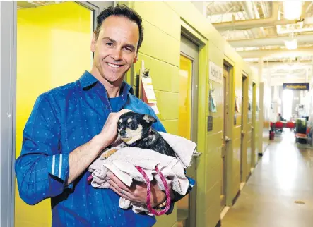  ?? DARREN MAKOWICHUK ?? Dr. Drew Van Niekerk of Calgary North Veterinary Clinic holds up Georgina, one of the adoptable dogs at the Calgary Humane Society as it reopened its doors following its closure due to a recent case of canine parvovirus.