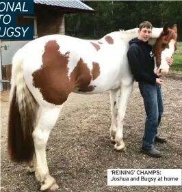  ?? ?? ‘REINING’ CHAMPS: Joshua and Bugsy at home