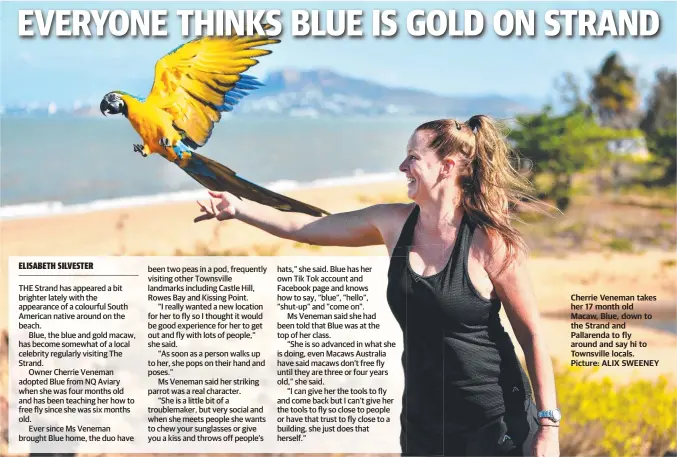  ?? Picture: ALIX SWEENEY ?? Cherrie Veneman takes her 17 month old Macaw, Blue, down to the Strand and Pallarenda to fly around and say hi to Townsville locals.