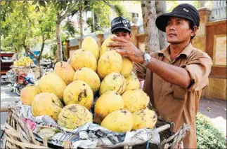  ?? HENG CHIVOAN ?? Visiting officials from the General Administra­tion of Customs of the People’s Republic of China have concluded that mangoes grown in the Kingdom are of good quality.