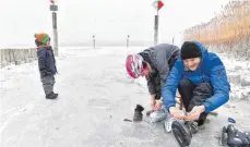  ?? FOTO: DPA ?? Winterspaß auf dem Bodensee: Ein Vater und seine Tochter aus Kreuzlinge­n ziehen sich vor der Insel Reichenau Schlittsch­uhe an.