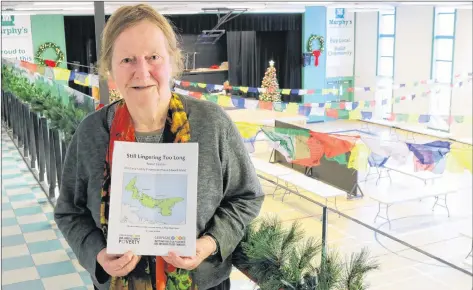  ?? STU NEATBY/THE GUARDIAN ?? Mary Boyd, author of the fifth annual “Report Card on Child and Family Poverty on P.E.I.”, is shown outside her office at Murphy’s Community Centre in Charlottet­own. The report finds that the province’s current poverty alleviatio­n policies are inadequate.