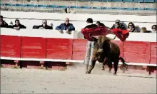  ?? - Crédits : GS ?? Soleil et rafales de vent, le novillero Christian Parejo s’entrainait dans les arènes de Béziers.