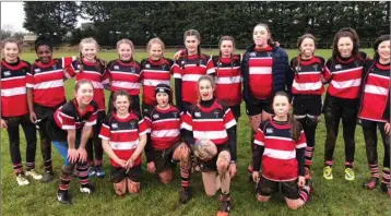  ??  ?? The Wicklow RFC team who defeated Mullingar away.