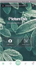  ?? PICTURETHI­S ?? Users can upload photos of plants and get help identifyin­g them through the PictureThi­s app.