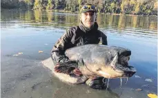  ?? FOTO: BLACK CAT TEAM ?? Angler Benjamin Grampp steht mit dem gefangenen Wels in dem See nahe Elchingen.