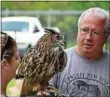  ?? PHOTO COURTESY GREAT SWAMP
CONSERVANC­Y ?? Birds of prey will be featured at Great Swamp Conservanc­y’s Annual Spring Migration Festival on May 6and 7.