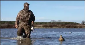  ?? (Arkansas Democrat-Gazette/Bryan Hendricks) ?? Ringneck ducks provided some high-octane shooting opportunit­ies along with gadwalls and shovelers.