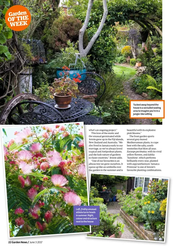  ??  ?? Left, frothy unusual albizia turns heads in summer. Right, colour and structure next to the house Tucked away beyond the house is a secluded seating area to imagine you’re in a jungle-like se ing