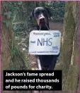  ??  ?? Jackson’s fame spread and he raised thousands of pounds for charity.