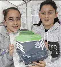  ??  ?? Isabel and Ella Finnegan with the Bray Emmets cakes that was bing raffled.