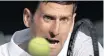  ?? Novak Djokovic ??