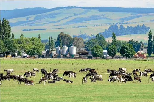  ?? JOHN HAWKINS/ STUFF ?? A dairy farm in Southland understood to be under a Restricted Place Biosecurit­y Notice, due to Mycoplasma bovis testing results.