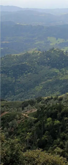  ?? AP PHOTO/MICHELLE LOCKE ?? At right, expansive views unfold atop Mt. St. Helena in Robert Louis Stevenson State Park near Calistoga.