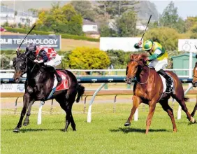  ?? Photo / Trish Dunell ?? The Mitigator (inner) gains his first victory at stakes level.