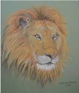  ??  ?? Beth van Eeden Lion, Derwent watercolou­r pencil on board, 103/43101/4in (27.5326.5cm)