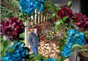  ?? SIMON O’CONNOR / STUFF ?? Florist Leisha Davies wants her home-made wreaths to be Anzac Day’s version of the national teddy bear hunt.