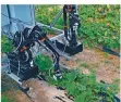  ?? FOTO: FHG ?? Dieser Roboter soll bei der Gurkenernt­e eingesetzt werden.