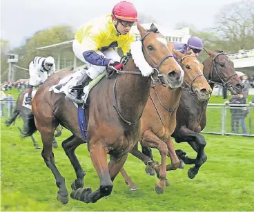  ?? BENEFOTO ?? Andreas Suborics, der hier in Führung liegt, hat die Rollen getauscht: Der Jockey ist nun Trainer.