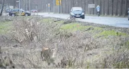  ?? BILD: Torsten von Reeken ?? Wo einst Bäume und Sträucher standen, entsteht entlang des Pophankenw­egs ein Radweg.