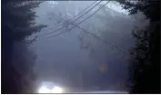  ?? ?? A tree toppled in Tuesday's wind lies across utility lines on Empire Grade in Bonny Doon.