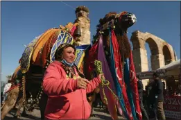  ?? ?? Wrestling camels, bearing elaboratel­y decorated saddles, parade Jan. 15 during a contest.