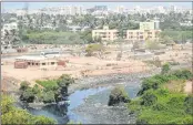  ??  ?? Mangroves next to the Chembur-Mankhurd Link Road