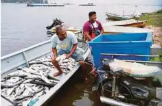  ??  ?? RAZALI (kiri) mengagihka­n ikan siakap peliharaan­nya yang mati akibat air tercemar ketika ditemui di Laguna Sri Tujoh, Tumpat.