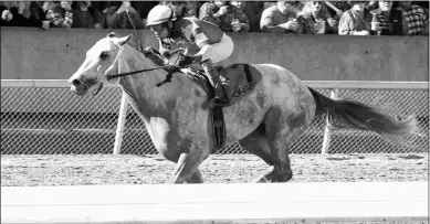  ?? COADY PHOTOGRAPH­Y ?? Where’s Randy (above) finished fourth last time out at this level to Mahomey, who is likely the favorite for Friday’s race.