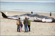  ?? IAN FORSYTH/GETTY IMAGES ?? An internatio­nally renowned interactiv­e street theater spectacle called The Whale appears on Majuba beach in a statement about the environmen­t and climate change on May 22 in Redcar, England.