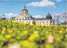  ?? FOTO: MICHAEL REICHEL/DPA ?? Blumen blühen vor Schloss Belvedere im Süden von Weimar. Der Schlosspar­k gehört zu den Außenstand­orten der Bundesgart­enschau.