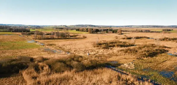  ?? Foto: Donautal-Aktiv ?? Das Dattenhaus­er Ried ist in Teilen wiedervern­ässt. So können im Jahr etwa 2000 Tonnen CO2-Äquivalent­e eingespart werden – eine Chance im Klimaschut­z.