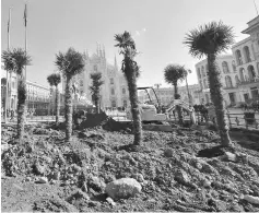  ??  ?? Newly planted palm trees are pictured in an area near Italy’s landmark, the Milan Cathedral, at the Piazza del Duomo in Milan. — AFP photo