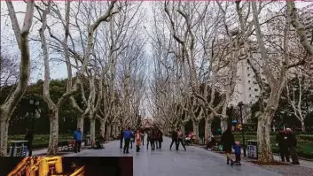  ??  ?? A tree-lined pedestrian walkway in the centre of French Concession area. It is said to be one of the most attractive areas to wander around in Shanghai. With wide boulevards and alleys and beautiful European-styled buildings, you won’t feel that you’ve been walking for hours! RIGHT: