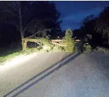  ?? ?? A ROADWAY at Port St Johns blockaded with a tree. | Supplied