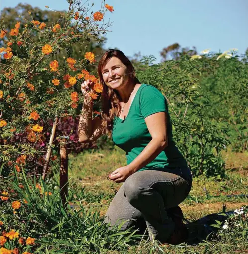  ?? PHOTO: ANDREA DAVY ?? TOP CROP: Simone Jelley turned her home garden into a thriving edible flower farm.
