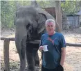  ??  ?? Mr Adamson at the Thai elephant sanctuary.