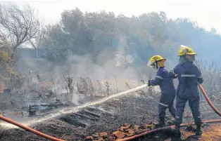  ?? ARCHIVO LA NUEVA. ?? El fuego que se originó en las zonas rurales de Bahía Blanca generó mucha preocupaci­ón.