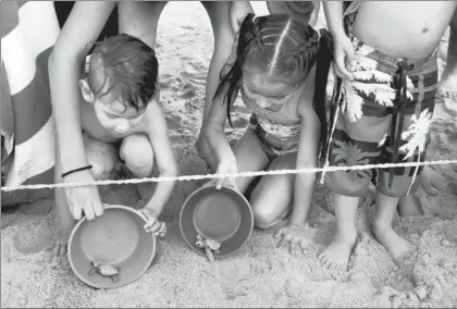  ??  ?? Niños liberan ejemplares de tortuga olivácea en una playa de Sayulita, Nayarit. La organizaci­ón no lucrativa local Red Tortuguera ayuda a esta especie al trasladar los huevos a un área protegida y resguardar a las crías de los ataques de pájaros cuando...