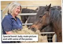  ??  ?? Special bond: Judy, main picture and with some of the ponies