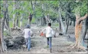  ?? DHEERAJ DHAWAN/HT ?? Villagers chasing down dogs in Sharfapur village in Sitapur, Uttar Pradesh on Wednesday.