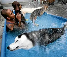  ??  ?? WATER BABIES Lakandula shares bath time with his pooches at home.