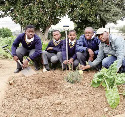  ?? Photo: Sue Maclennan ?? Zuki Lamani supervises Thembaleth­u Libi, Lihle Mthana, Siyamthand­a Sam and Mihlali Donda, all Grade 6 pupils at St Mary's Primary School, as they tend their garden patches behind the St Mary’s Developmen­t Centre.