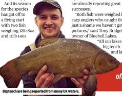  ??  ?? Big tench are being reported from many UK waters.