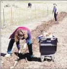  ??  ?? Volunteers work on a regular basis at the Lincoln Community Garden. Here, they are planting potatoes for this year’s garden season.