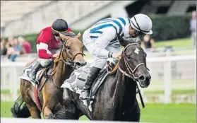  ?? FOTO: DAVID ARGINDAR ?? ‘Poti’ es el gran favorito para llevarse hoy el Gran Premio Casino Kursaal